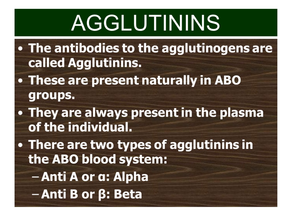 AGGLUTININS The antibodies to the agglutinogens are called Agglutinins. These are present naturally in